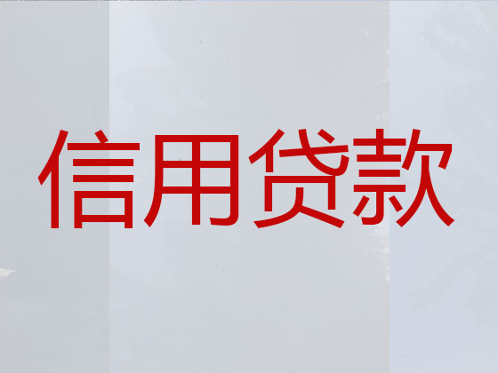 渭南本地贷款公司